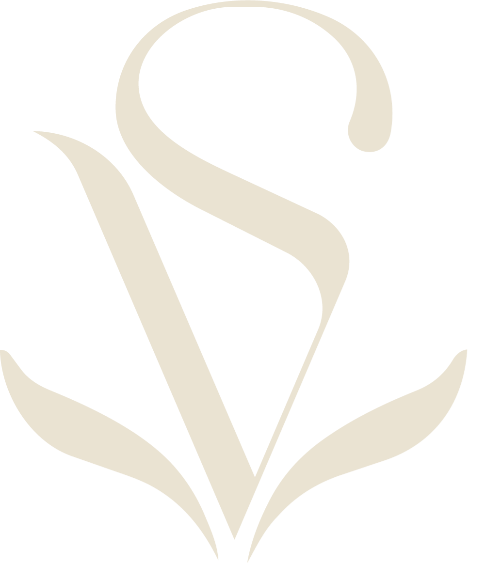 Logo Dra. Victória Santos